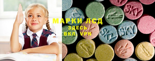 индика Покров
