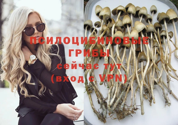 бошки Переславль-Залесский