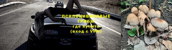 бошки Переславль-Залесский
