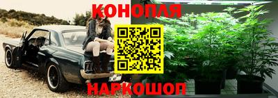 ГАЛЛЮЦИНОГЕННЫЕ ГРИБЫ Апрелевка