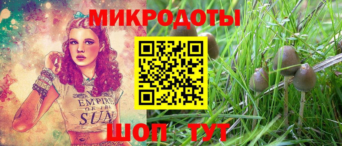 Борзя  Псилоцибиновые грибы MAGIC MUSHROOMS  Вход с VPN 