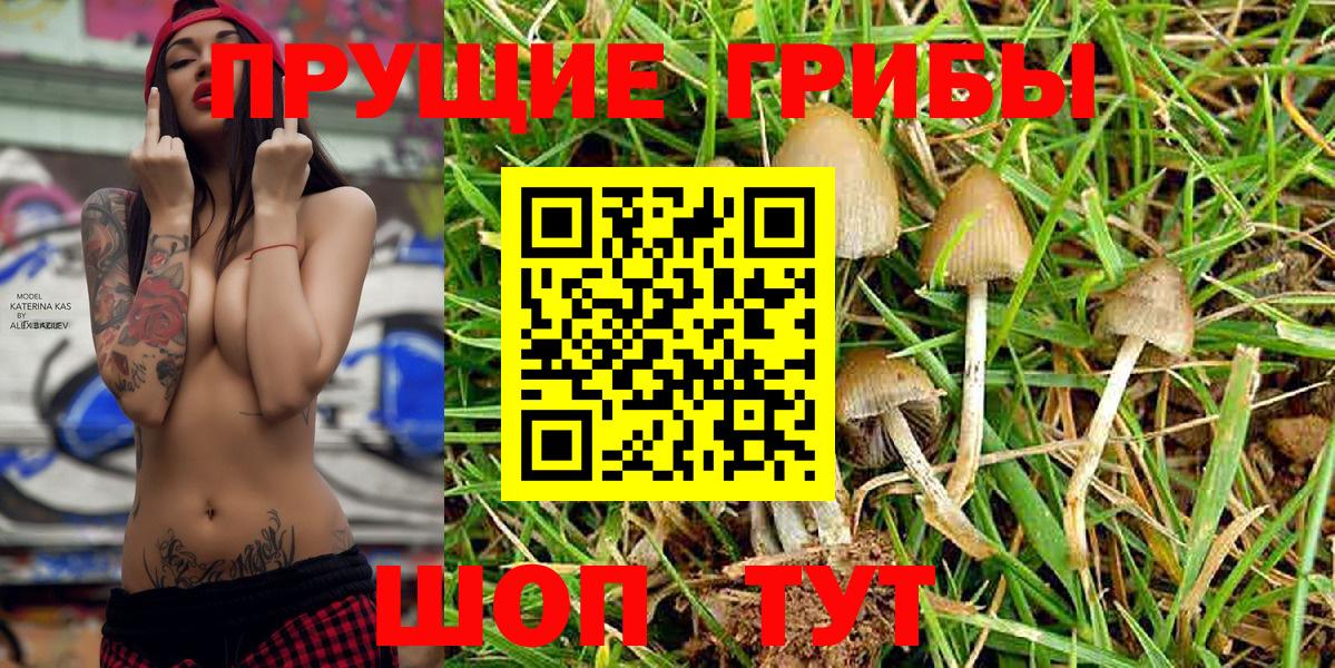 Галлюциногенные грибы Magic Shrooms Борзя