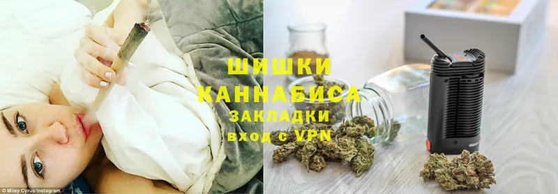 МАРИХУАНА SATIVA & INDICA  наркошоп  Борзя 